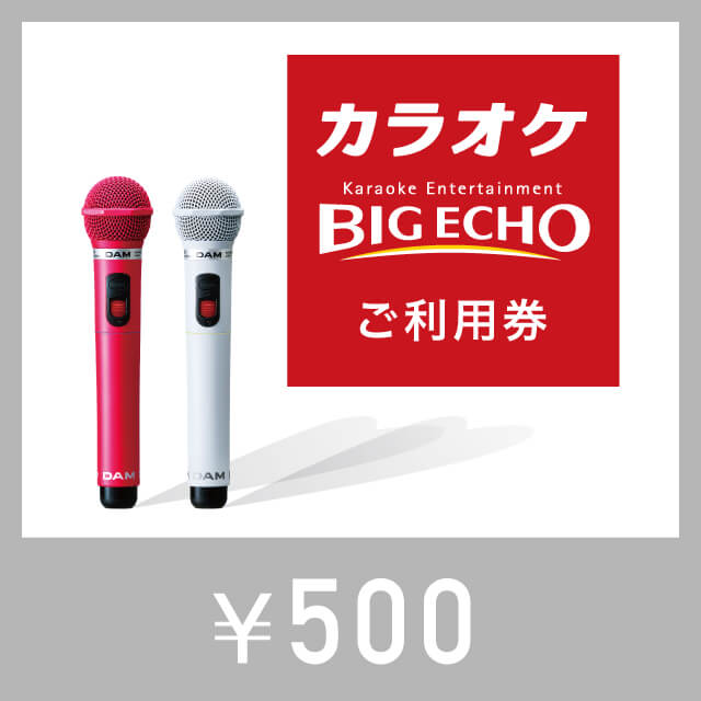 カラオケ ビッグエコー　デジタルご利用券　500円